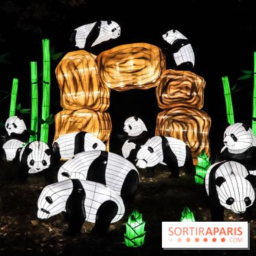 Festival de Lumières au Jardin des Plantes : Espèces en voie d’illumination