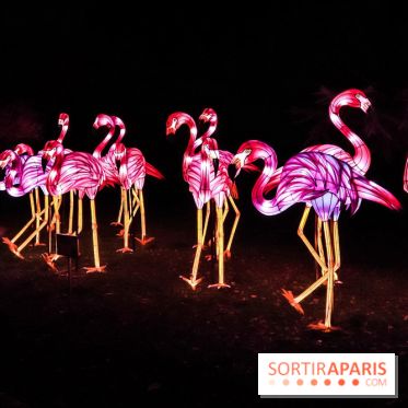Festival de Lumières au Jardin des Plantes : Espèces en voie d’illumination