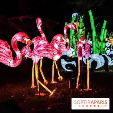 Festival de Lumières au Jardin des Plantes : Espèces en voie d’illumination