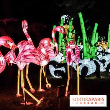 Festival de Lumières au Jardin des Plantes : Espèces en voie d’illumination