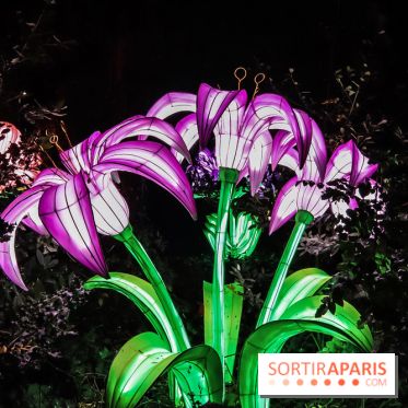 Festival de Lumières au Jardin des Plantes : Espèces en voie d’illumination