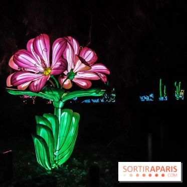 Festival de Lumières au Jardin des Plantes : Espèces en voie d’illumination