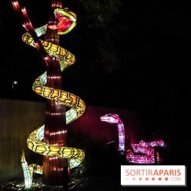 Festival de Lumières au Jardin des Plantes : Espèces en voie d’illumination