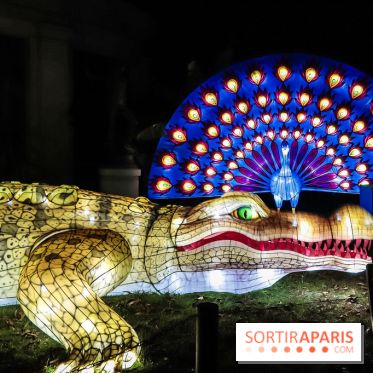 Festival de Lumières au Jardin des Plantes : Espèces en voie d’illumination