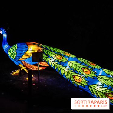 Festival de Lumières au Jardin des Plantes : Espèces en voie d’illumination