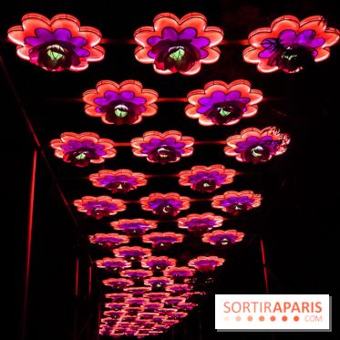 Festival de Lumières au Jardin des Plantes : Espèces en voie d’illumination