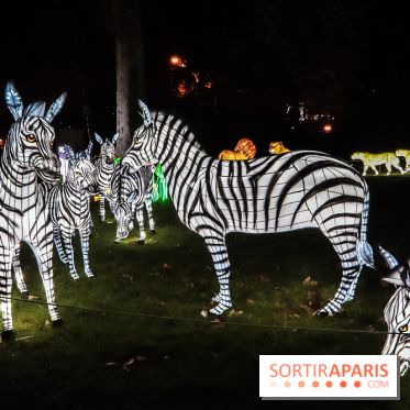 Festival de Lumières au Jardin des Plantes : Espèces en voie d’illumination