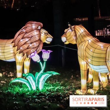 Festival de Lumières au Jardin des Plantes : Espèces en voie d’illumination