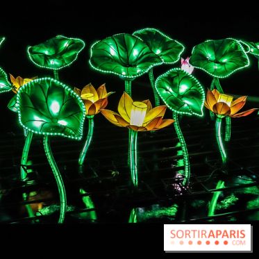 Festival de Lumières au Jardin des Plantes : Espèces en voie d’illumination