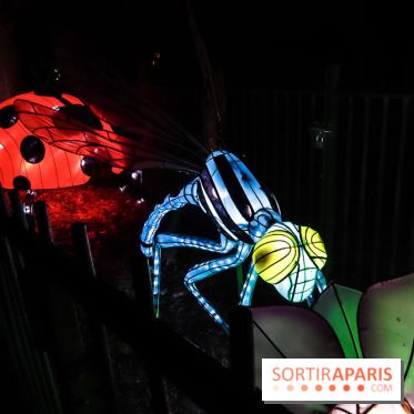 Festival de Lumières au Jardin des Plantes : Espèces en voie d’illumination