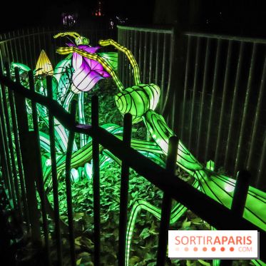 Festival de Lumières au Jardin des Plantes : Espèces en voie d’illumination