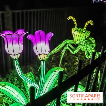 Festival de Lumières au Jardin des Plantes : Espèces en voie d’illumination