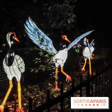 Festival de Lumières au Jardin des Plantes : Espèces en voie d’illumination