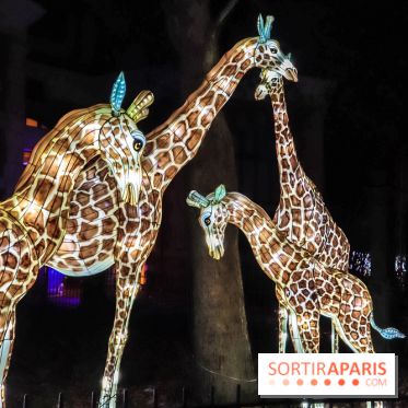 Festival de Lumières au Jardin des Plantes : Espèces en voie d’illumination