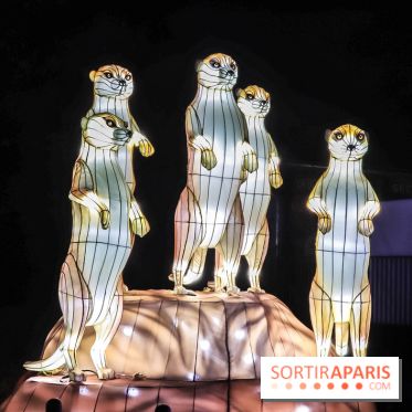 Festival de Lumières au Jardin des Plantes : Espèces en voie d’illumination