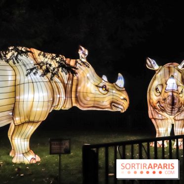 Festival de Lumières au Jardin des Plantes : Espèces en voie d’illumination