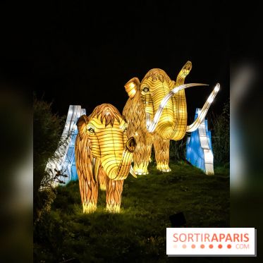 Festival de Lumières au Jardin des Plantes : Espèces en voie d’illumination