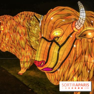 Festival de Lumières au Jardin des Plantes : Espèces en voie d’illumination