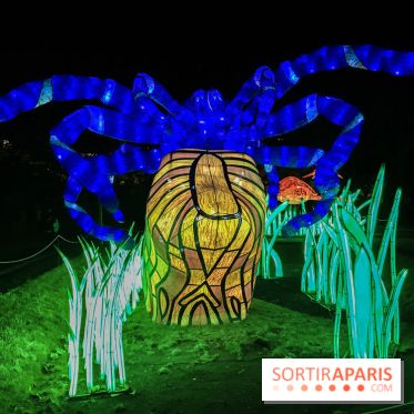 Festival de Lumières au Jardin des Plantes : Espèces en voie d’illumination