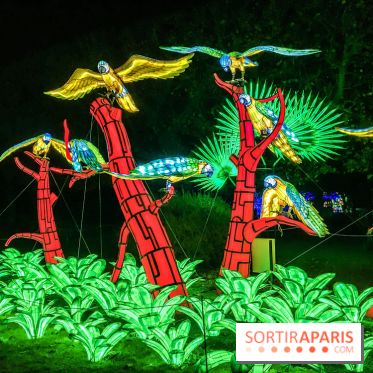 Festival de Lumières au Jardin des Plantes : Espèces en voie d’illumination