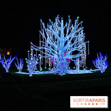 Festival de Lumières au Jardin des Plantes : Espèces en voie d’illumination