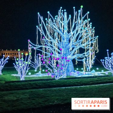 Festival de Lumières au Jardin des Plantes : Espèces en voie d’illumination