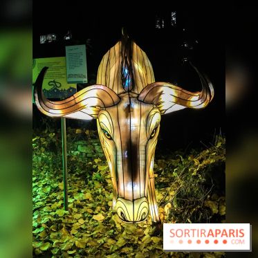 Festival de Lumières au Jardin des Plantes : Espèces en voie d’illumination