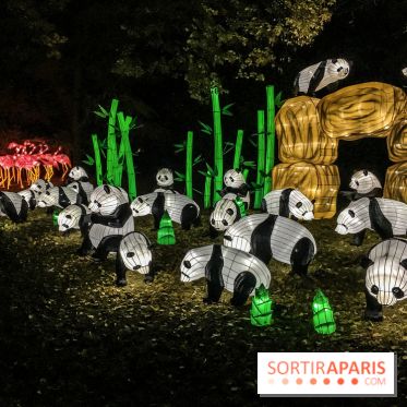 Festival de Lumières au Jardin des Plantes : Espèces en voie d’illumination