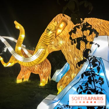 Festival de Lumières au Jardin des Plantes : Espèces en voie d’illumination