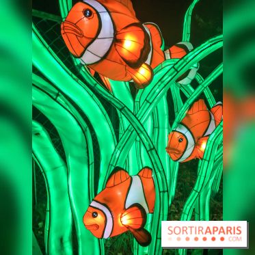 Festival de Lumières au Jardin des Plantes : Espèces en voie d’illumination
