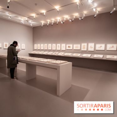 Rodin, dessiner, découper au musée Rodin