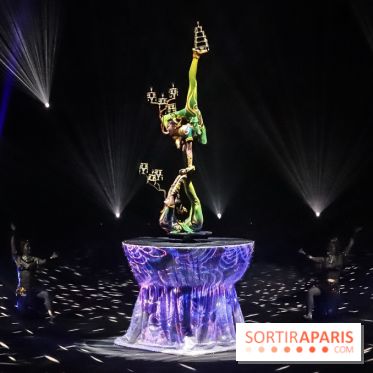 Le Roi des Singes au Cirque Phénix
