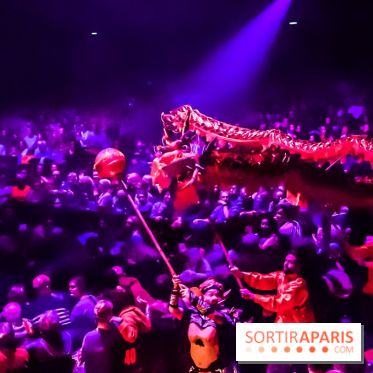 Le Roi des Singes au Cirque Phénix