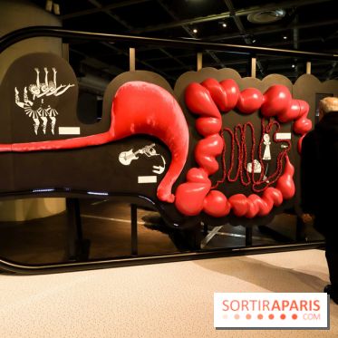 Microbiote, l'exposition à la Cité des Sciences 