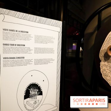 Microbiote, l'exposition à la Cité des Sciences 