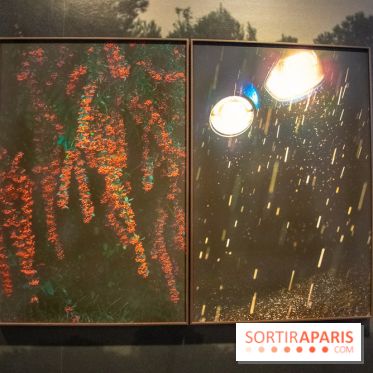 Hit The Road, l'exposition au Leica Store