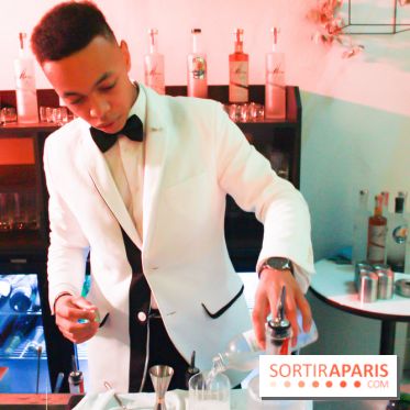 Le Vodkaviar Bar du Lutetia