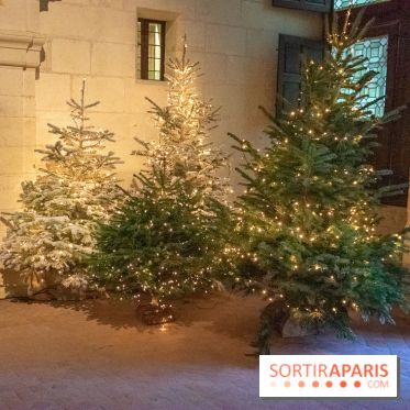 Noël 2018 au Château de Chambord