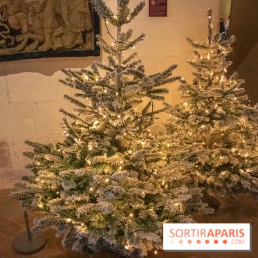 Noël 2018 au Château de Chambord