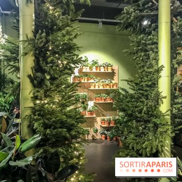 Bergamotte, le lieu de vie dédié au végétal