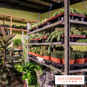 Bergamotte, le lieu de vie dédié au végétal