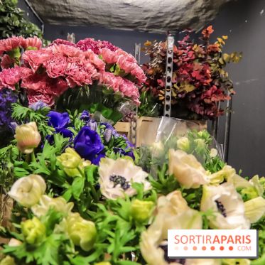 Bergamotte, le lieu de vie dédié au végétal