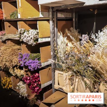 Bergamotte, le lieu de vie dédié au végétal