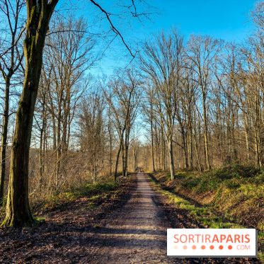 visuel île de france - balade forêt - nature