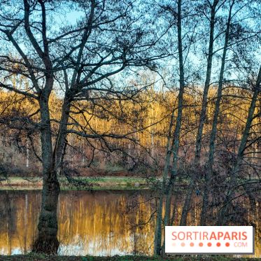 visuel île de france - balade forêt - nature