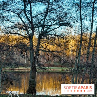 visuel île de france - balade forêt - nature