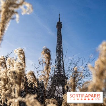 visuel Paris visuel  -  A7C2038
