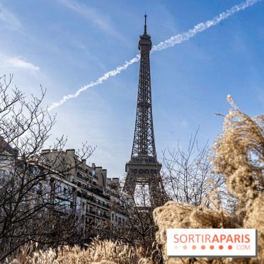 visuel Paris visuel  -  A7C2025