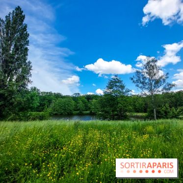 visuel Paris - île de France - nature - forêt
