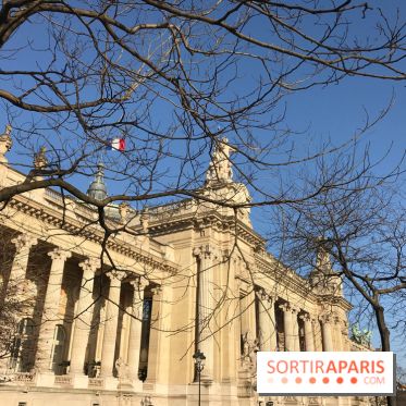 Visuel Paris Grand Palais